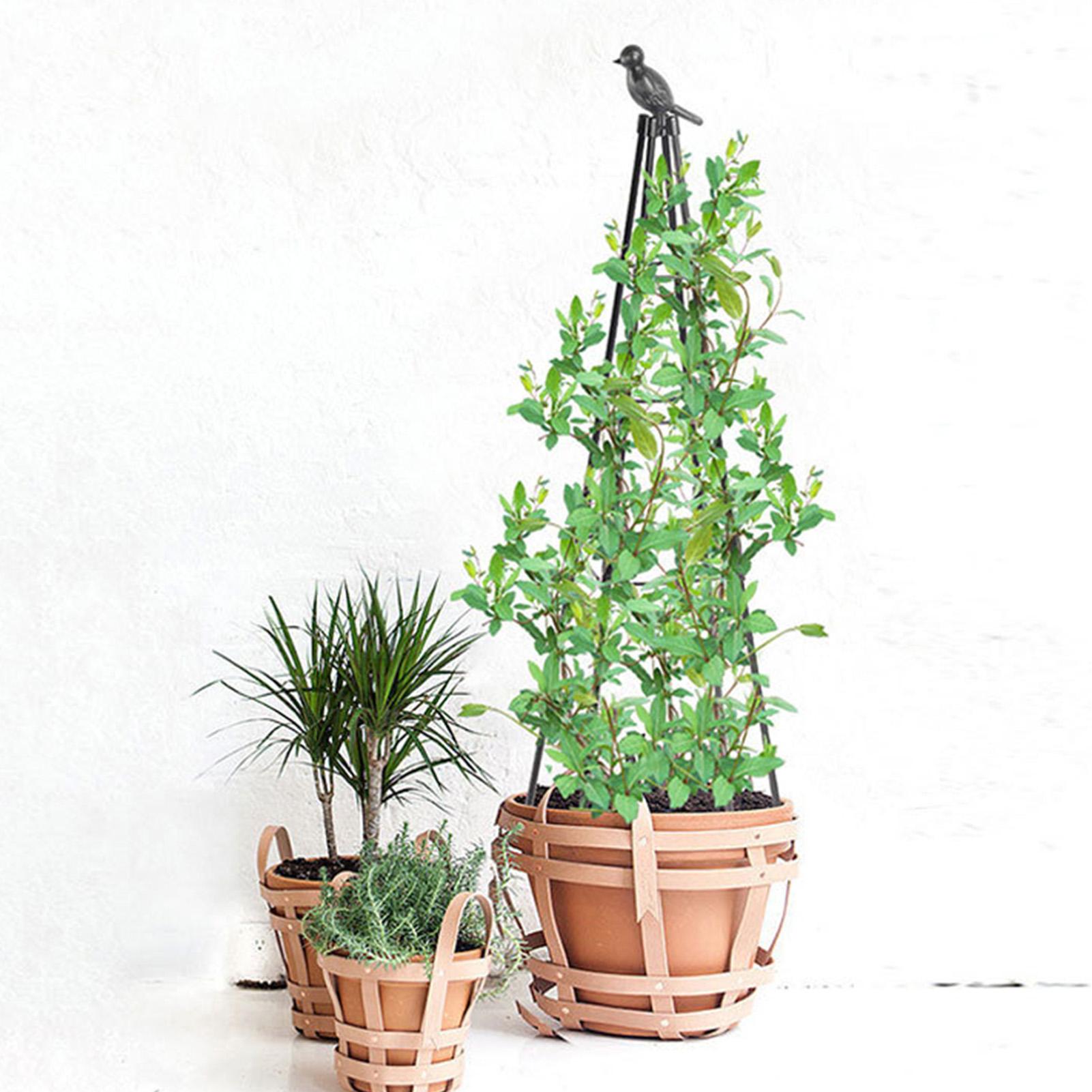 160cm Metal Garden Obelisk Tre - Model Kit Obelisk review and price